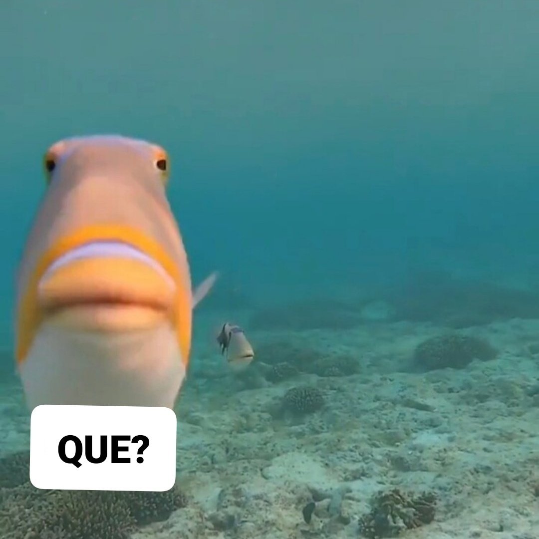 xexu_fernandez's tweet photo. alguien hablándome:

yo: https://t.co/D8bMRmOvzi