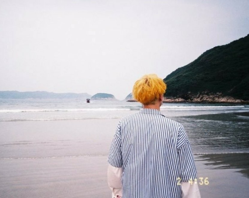 iFuck7official's tweet photo. #CHRIS2 🐚 Su Aqua Pet favorito salió de la cueva de mentals en donde estaba escondido para avisarles que ya me mediqué y vi la luz tras escuchar #LoveBirdYY. Una canción que los hará llegar a otro plano astral, for sure #EVENILOVE you! https://t.co/rzOIYG0JC1