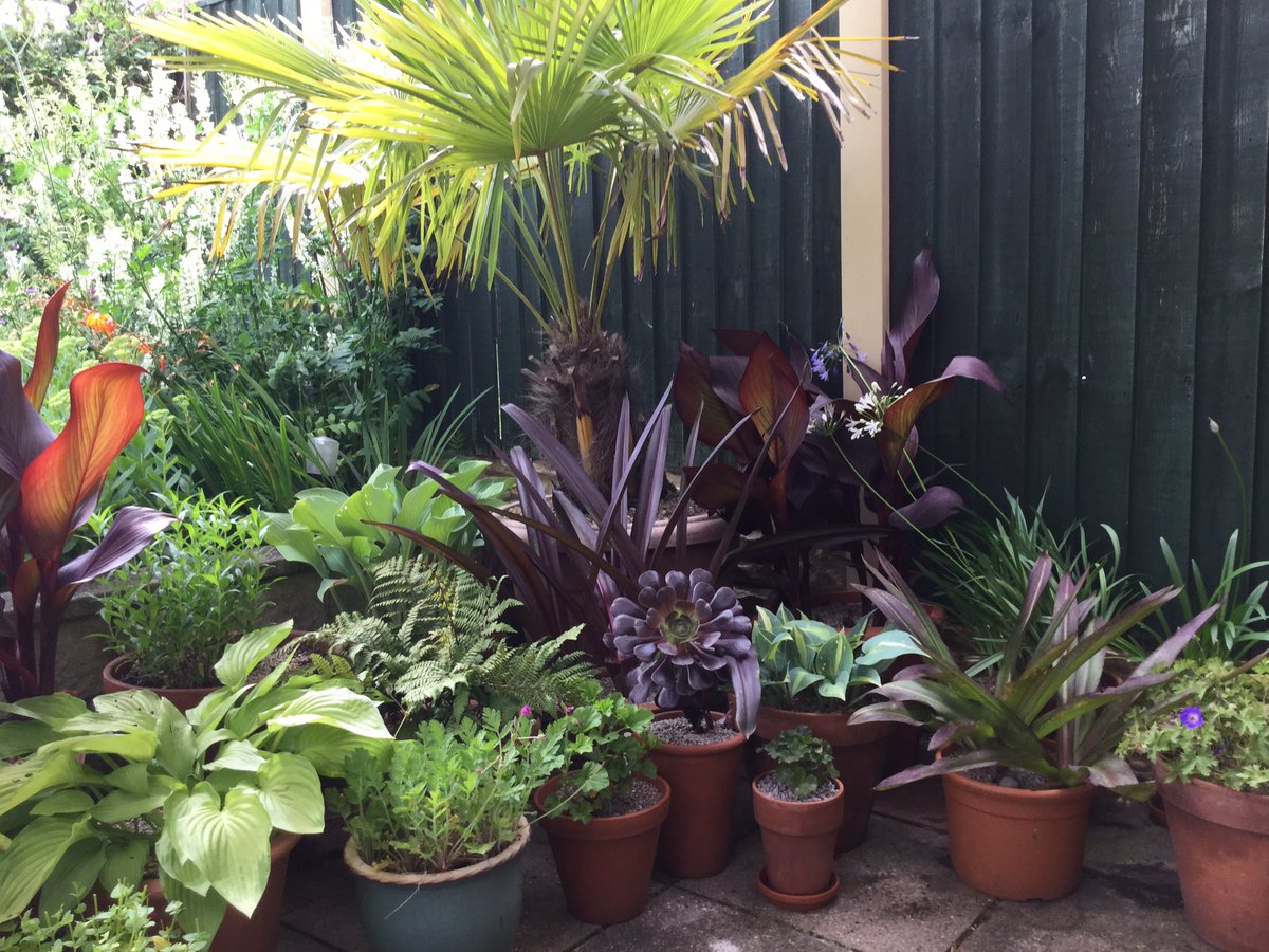 GreavesJune's tweet photo. Had a move around of pots. Bit more dramatic I think https://t.co/oOVz66lW6I