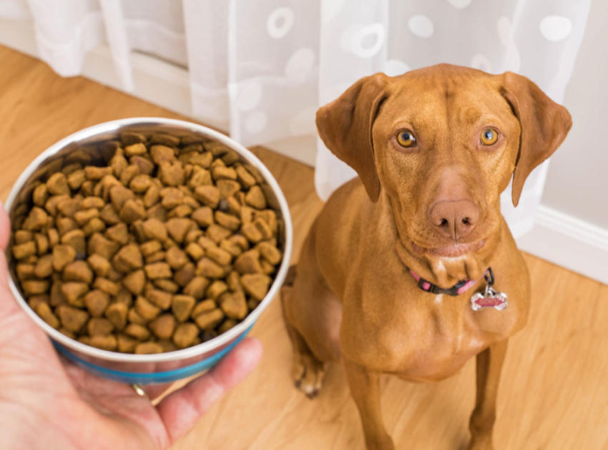 bobperry_sgn's tweet photo. On Sunday 9A to 4P, Moose’s Meals is having a rummage sale to raise funds for its pet food pantry in #Visalia. The pantry provides free dog and cat food to low income, homeless and elderly members of the community. https://t.co/t14WB4Ctm7 https://t.co/DAOqRO2BEY