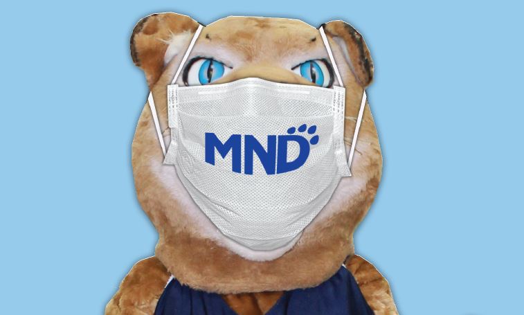 MNDCougars's tweet photo. Be like our Cougar mascot and wear a mask so we can all be back together at Mount Notre Dame when school starts this fall! #MasksOn #MNDstrong https://t.co/U7p3G4t81A