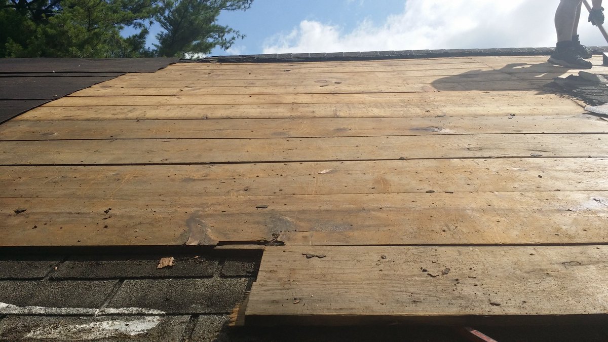 We feel like we are in Groundhog day.Doc keeps removing shingles, I keep replacing rotting wood.The upside is there is less to replace today.The major downside is Doc can only do so much at a stretch and does not feel compotent or safe doing repairs.