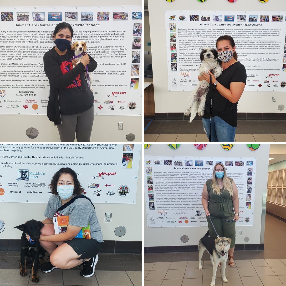 LACoAnimalCare's tweet photo. Our Paldale team is hard at work adoptions pets and reuniting pets with their owners #daccares #PicOfTheDay https://t.co/No4ezbmvnA
