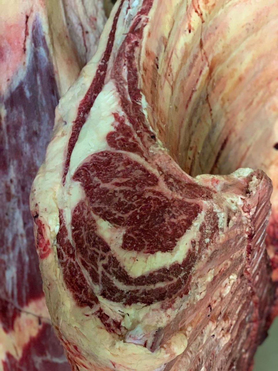 BlakesFineFoods's tweet photo. 2 x big boys have just arrived!! 
1 ton of beautifully marbled Purdon Wagyu hanging in our chillers. Watch this space...🥩
#purdonwagyu #bigboys #justarrived  #easterncape  #ordernow #1ton  #marbled 
#blakesfinefoods https://t.co/UMX4DxxREz