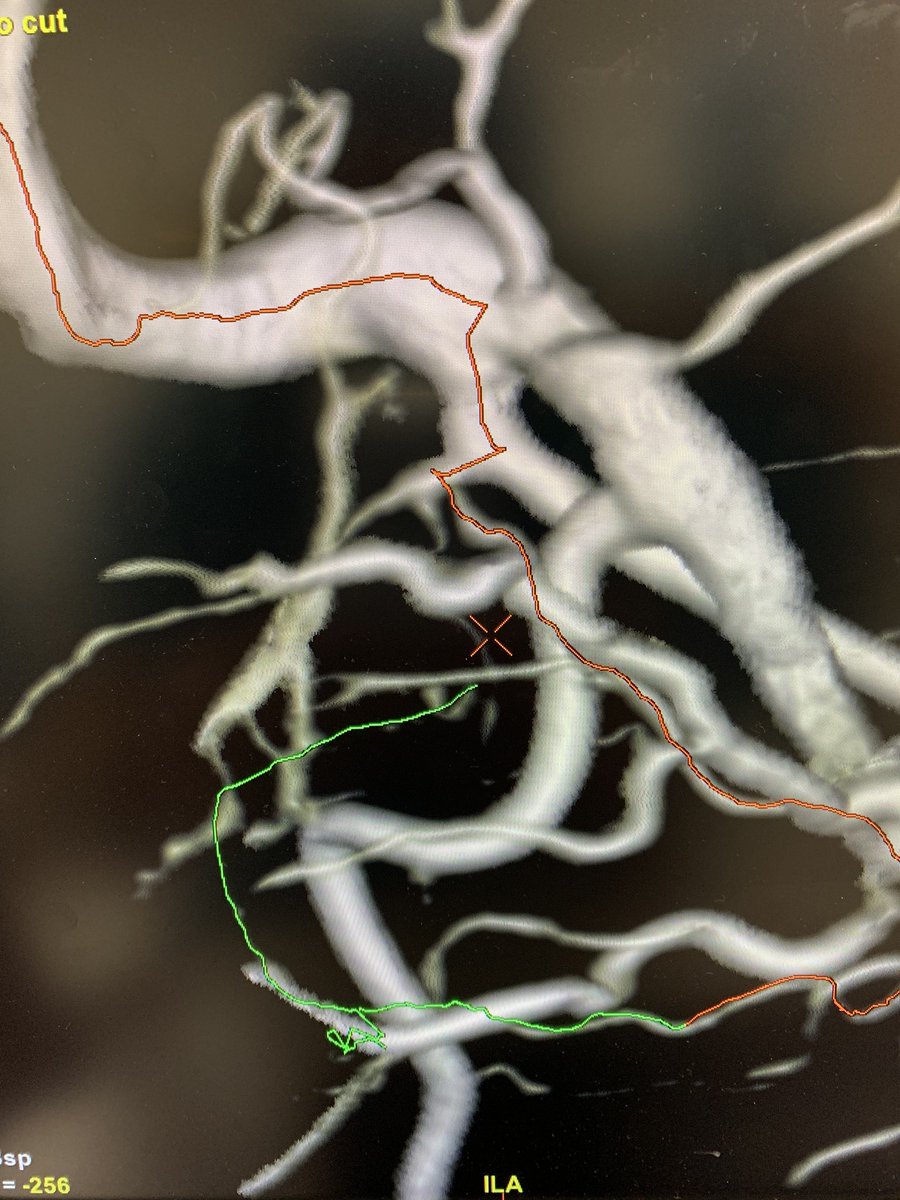 Ari Isaacson tweet media