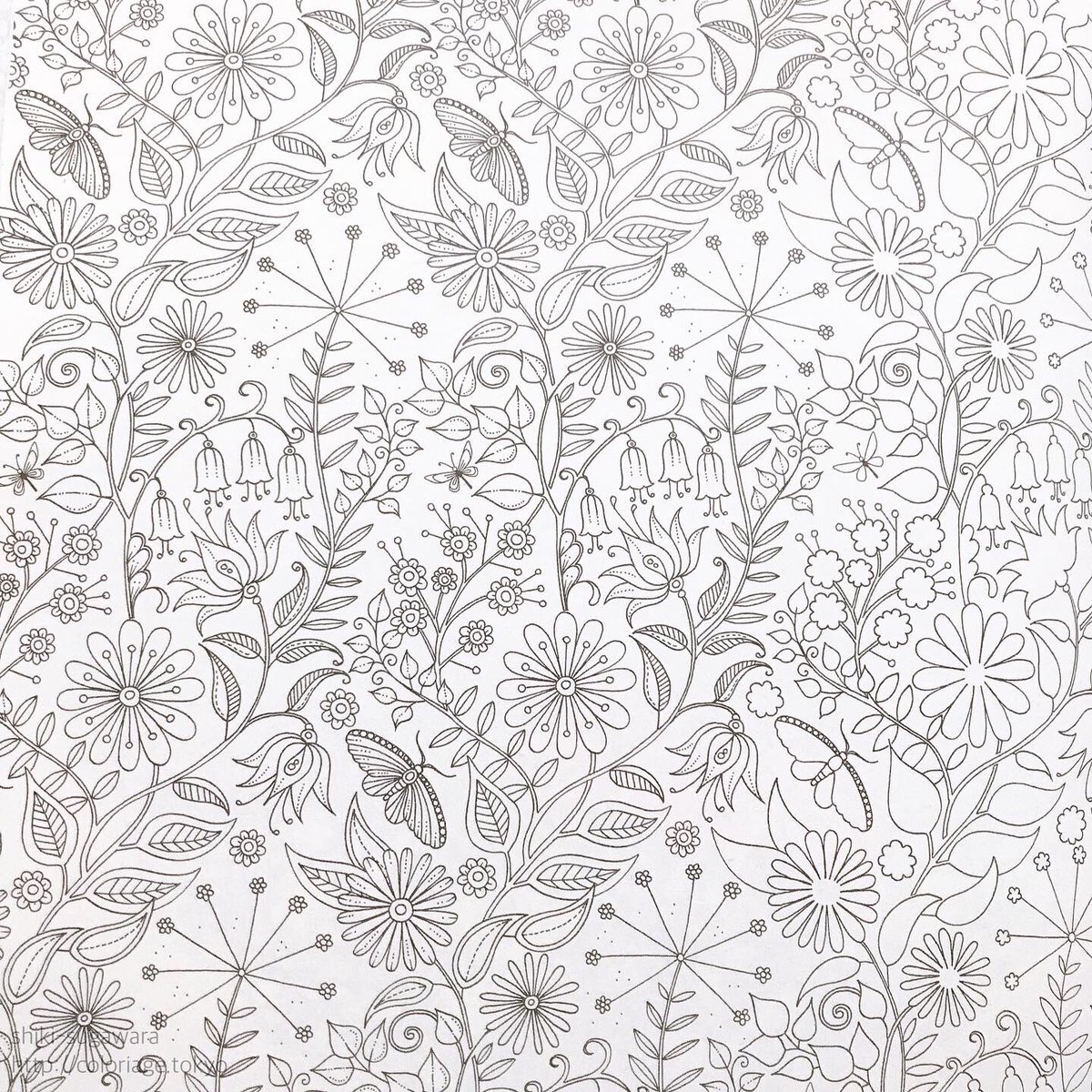 菅原志希 コロリアーティスト On Twitter 世にも奇妙な物語 の 世 を描きました すっごく楽しい イラストは敢えてメルヘンな花柄を選んでみたよ 大人の塗り絵 おとなのぬりえ コロリアージュ ひみつの花園 Secretgarden コラボ塗り 世にも奇妙