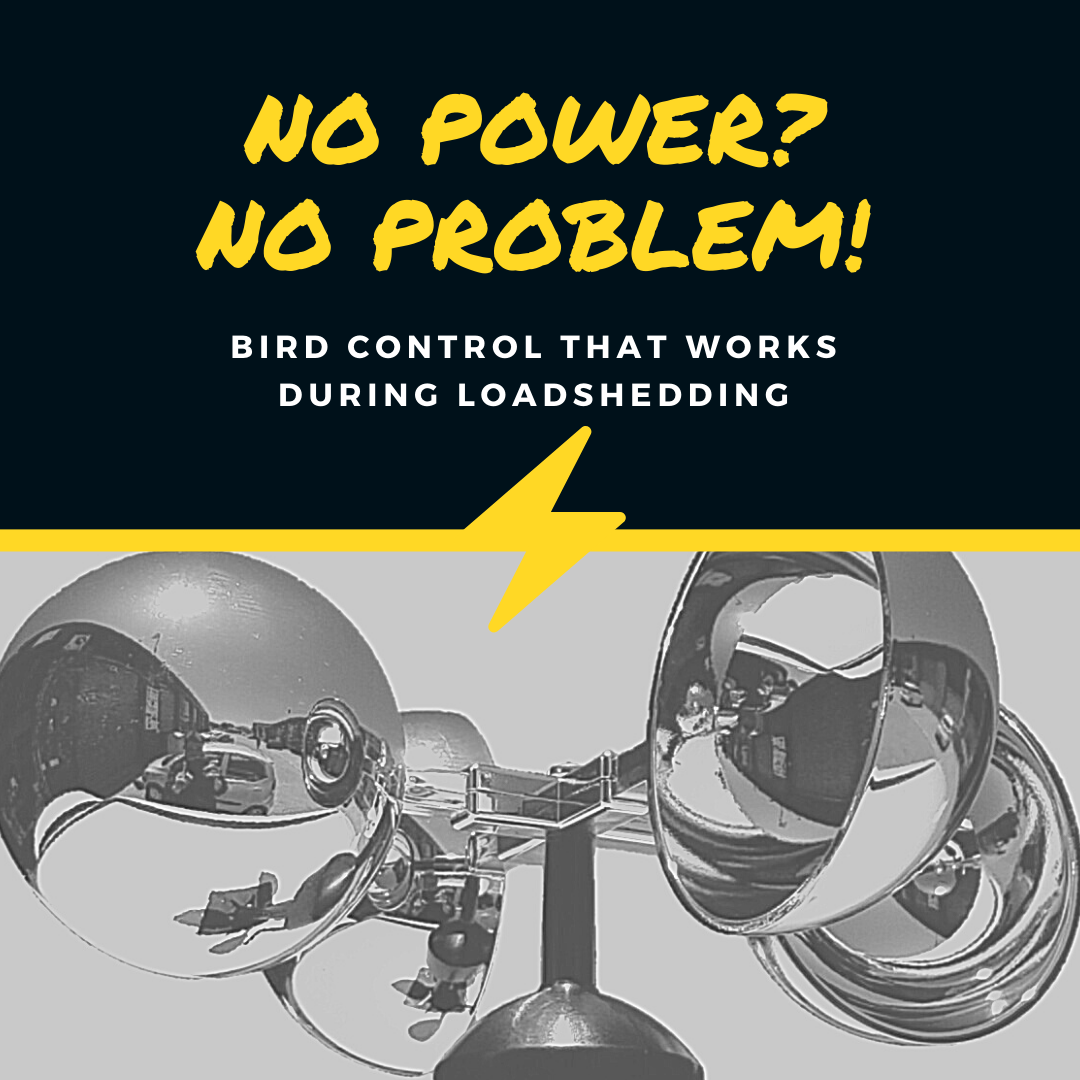 eagleeye_sa's tweet photo. Just because the power is off doesn't mean that the pest birds can take a break and get comfortable lounging around your building.
Keep pest birds away with the wind-powered Bird Breezer.
https://t.co/g98rs9Ng6A
#PestBirds #WindPower #PestControl #Loadshedding #EagleEye https://t.co/WDGjDTUaQY
