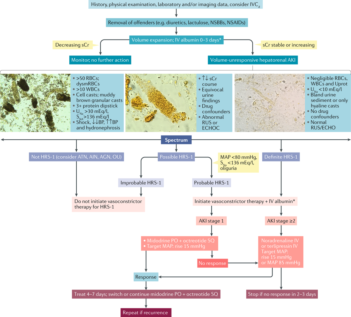 Nature Reviews Nephrology tweet media