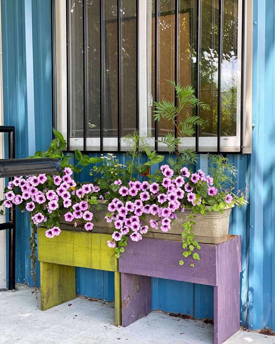 WhatCheerFarm's tweet photo. The barn looking beautiful thanks to new flower boxes from Rose and new windows that can no longer be shot out by BB guns. We are excited for our volunteers to safely enjoy this building as much as we do!
#whatcheerflowerfarm #flowerfarm #barn #underconstruction #bluebarn https://t.co/3FawHCBvvk
