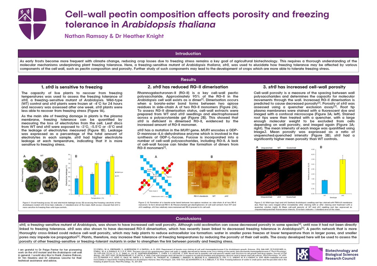 nathanramsay96's tweet photo. Cell-wall pectin composition affects porosity and freezing tolerance in Arabidopsis 🌱 @NLD_DTP2020 #nld_dtp20 https://t.co/RkYtcEHqgV