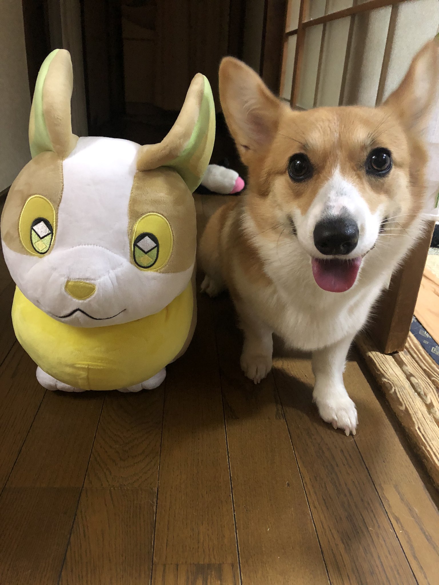 コーギーとバラメモ z1￼￼￼8（ダイカット クラフトパンチ）