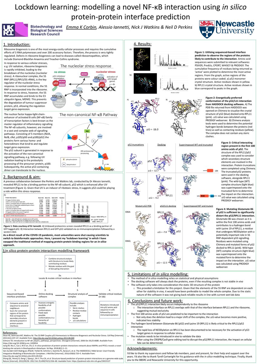 ekc96's tweet photo. Here is some cool computer-based research I've been doing as a poster submission for #NLD_DTP20 "Lockdown learning: mapping a novel NF-kB interaction using in silico protein-protein interface prediction" https://t.co/FgJFKEKY2D