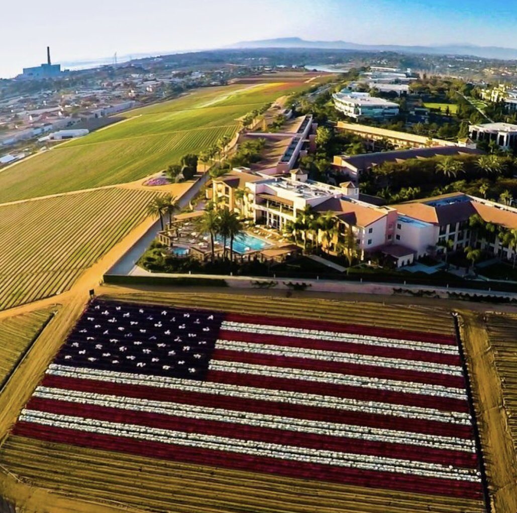 PrepperJakz's tweet photo. I pledge allegiance to the flag of the United States of America &amp; to the republic for which it stands, one nation under God, indivisible, with Liberty &amp; Justice for all! @LifeBragg #prepper #prepper101 #teotwawki #survival #edc #shtf #fortbragg #homesteadhomies https://t.co/b9sF5jPgAj