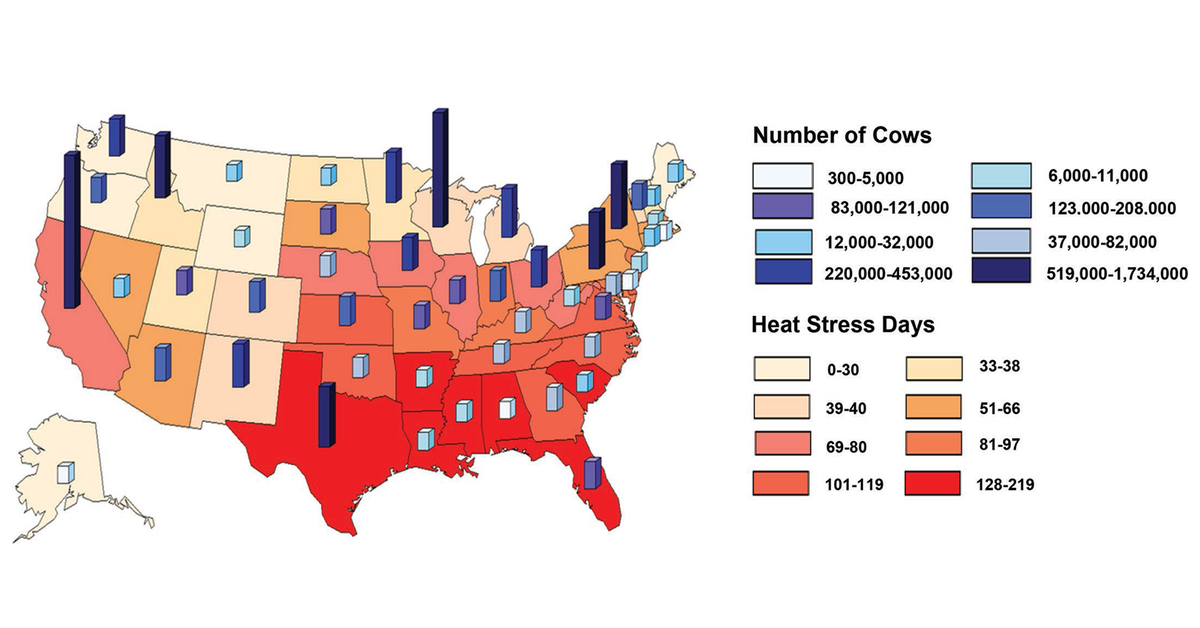 ElsevierNews's tweet photo. Heat stress in gestating #dairycows impairs performance of future generations, according to a new study in @jdairyscience: https://t.co/hOcsdEXQOq 

#dairyscience #research #milkmanagement @ElsevierVetNews https://t.co/Gz58uryS19