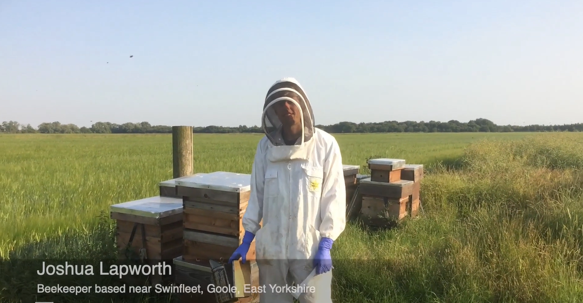 greatyorkshow's tweet photo. 1.30pm #Beekeeping remains a popular feature of the #Yorkshire #countryside, with #hives maintained across the countryside producing great tasting #honey. Yorkshire beekeepers Dr John Canning & Joshua Lapworth explain their delicate craft https://t.co/EjJvs06igg #VirtualGYS https://t.co/nXpXMNMEfl
