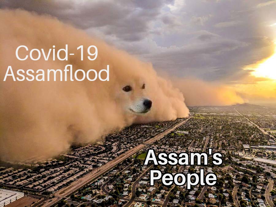 Diksha_Sachan_'s tweet photo. Tinsukia district in Assam is battling multiple crises at once - the gas well fire, COVID-19, and now the deluge! Let us join hands, and help them get through this. 
#NorthEastMatters 
#AssamFloods https://t.co/DhGhCokQL6