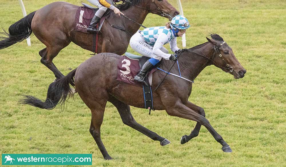 Western Racepix tweet media