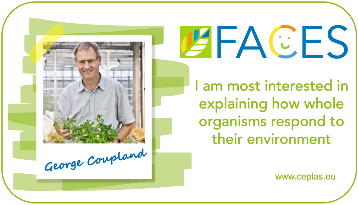 ceplas_1's tweet photo. Our news issue of CEPLAS Faces is out! This time we ask 6 questions to George Coupland, director at @mpipz_cologne. Check out the full interview here https://t.co/3QhIss1pqR #CEPLASfaces @HHU_de @UniCologne @IBG2Plant @UniCologneNY https://t.co/zV6IM8BGR9