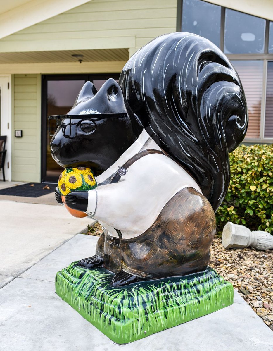 ourboomerblog's tweet photo. Did you know that Marysville is the Black Squirrel Capitol of Kansas?
This captured our interest, so we are traveling there to check it out.
@visitmvilleks @kansastourism
#noplacelikeks #visitlikealocal #marysvillekansas #ponyexpress #blacksquirrelcapital #didyouknow https://t.co/cAdOksyDXK