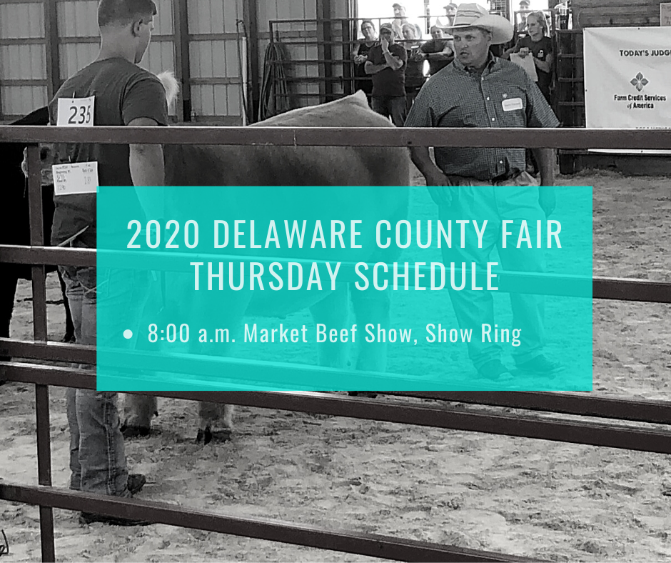 Delco4H's tweet photo. Hey, hey, hey its Market Beef Show Day! Catch the action live on our Facebook page of the 4-H and FFA Market Beef show! https://t.co/9djor7oRNO