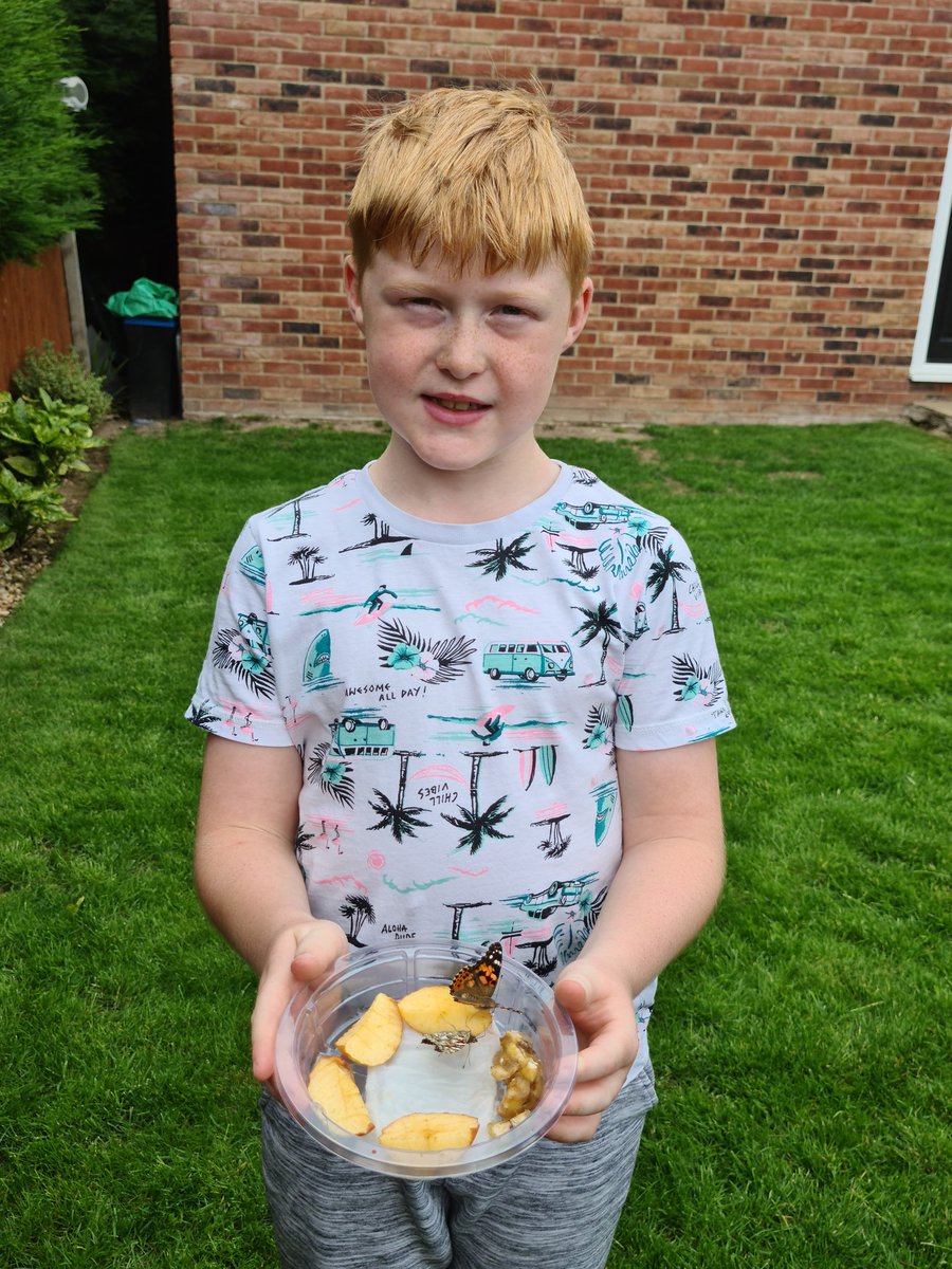 meloni_2's tweet photo. @y3abbeylane we released our butterfly's today. One landed on James 🦋 https://t.co/D7ZiyE3O3p