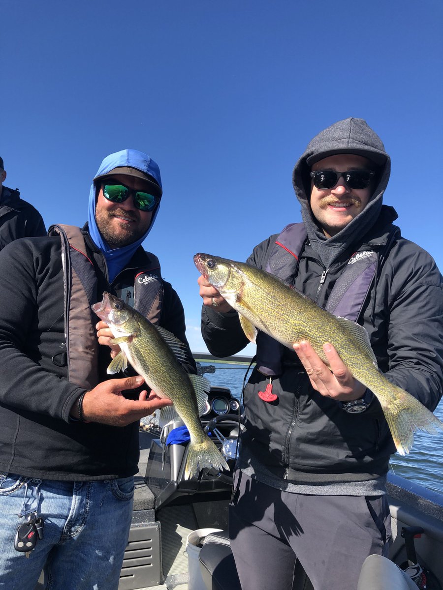 Liebelsguide's tweet photo. Some beautiful #LakeSakakawea walleyes put in the boat this week! #LiebelsGuideService #VisitWilliston https://t.co/1NevgxXjK3