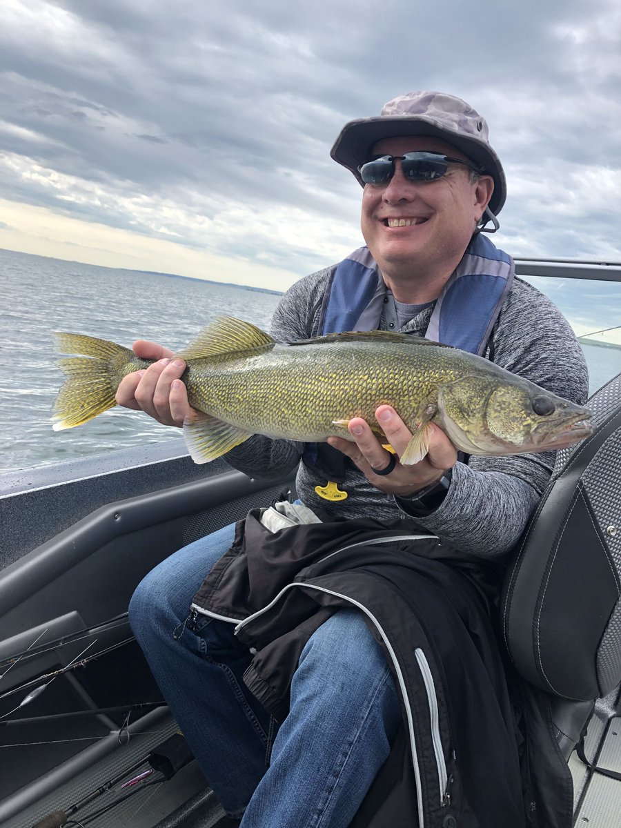 Liebelsguide's tweet photo. Some beautiful #LakeSakakawea walleyes put in the boat this week! #LiebelsGuideService #VisitWilliston https://t.co/1NevgxXjK3
