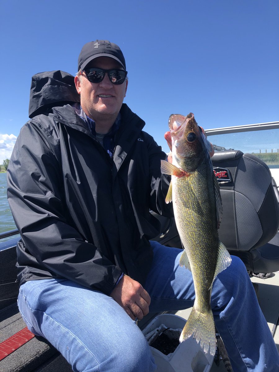Liebelsguide's tweet photo. Some beautiful #LakeSakakawea walleyes put in the boat this week! #LiebelsGuideService #VisitWilliston https://t.co/1NevgxXjK3
