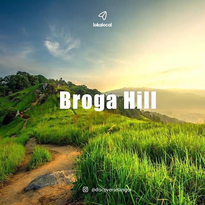 MalaysianFoods's tweet image. Lokasi2 menarik untuk hiking di seluruh Malaysia.

📸LokaLocal