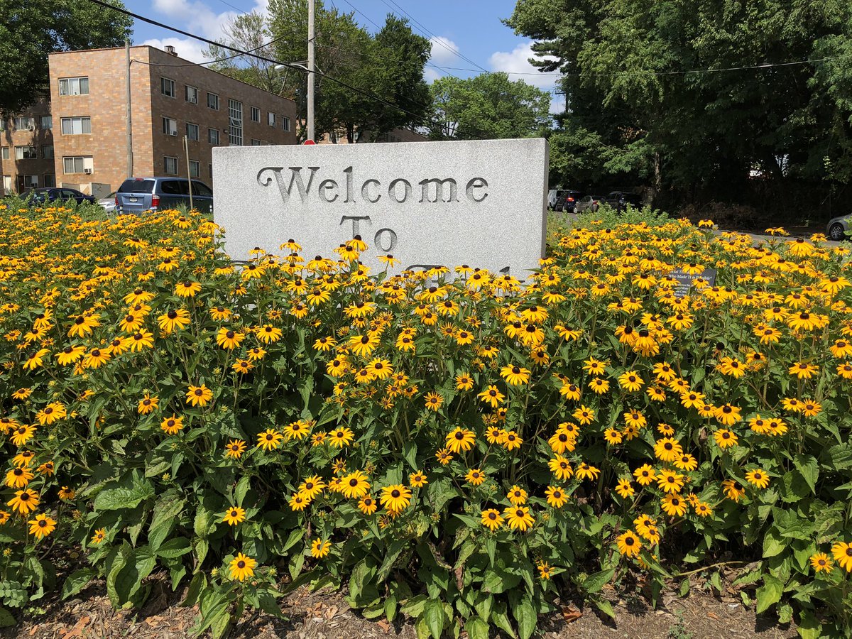WELCOME TO ..... JUNIATA PARK! We promise, that’s what it says￼. These gorgeous flowers are overtaking the sign in the Cayuga Triangle ￼Rain Garden, a project started by the Juniata Action Committee.