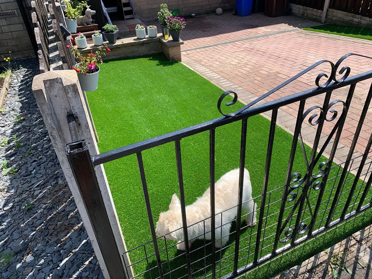 mypad_grass's tweet photo. NO MORE MUDDY PAWS 🐾 
Pet-Friendly Artificial Grass. Professionally Installed by My Pad ✅
Message Us Today for a FREE Quote 📲 https://t.co/8AZiAtxC1C