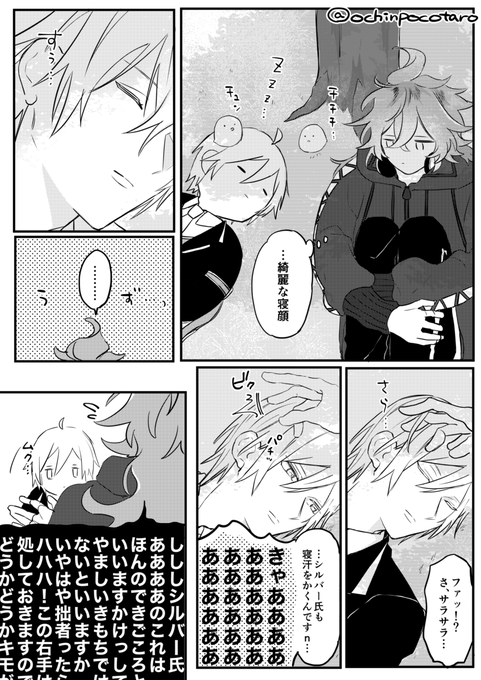 口実 シルイデ 