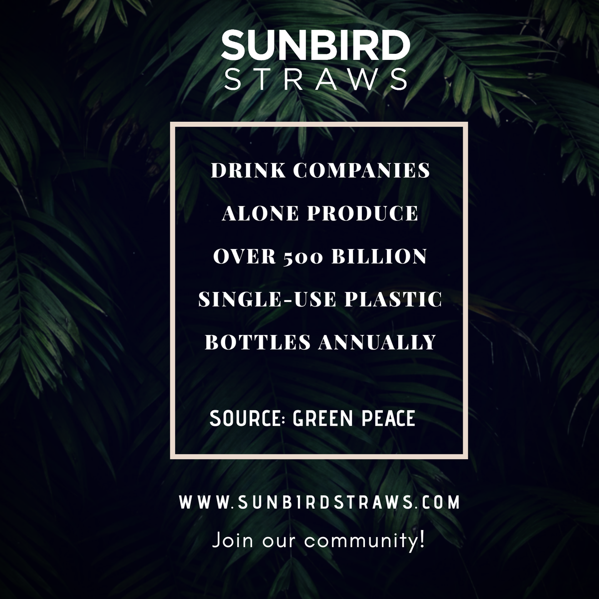 #biodegradable #coconuttleafstraws #drinkingstraws #ecofriendly #ecofriendlymaterials #ecofriendlyproducts #environmentallyfriendly #sustainability #circulareconomy #ruralemployment #womenempowerment #saveoceans