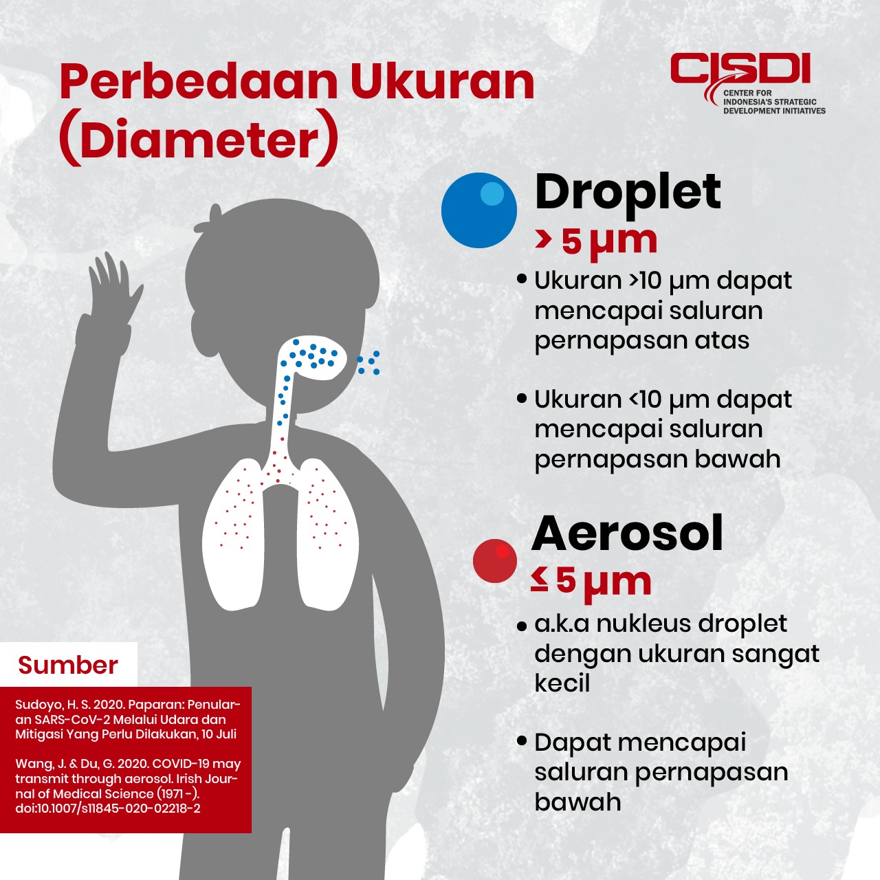 Apa Itu Droplet