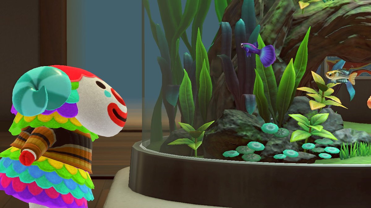 greenbug_island's tweet photo. my lovely guy pietro hangin with the fish #AnimalCrossing #ACNH https://t.co/0ohh4FWXcU