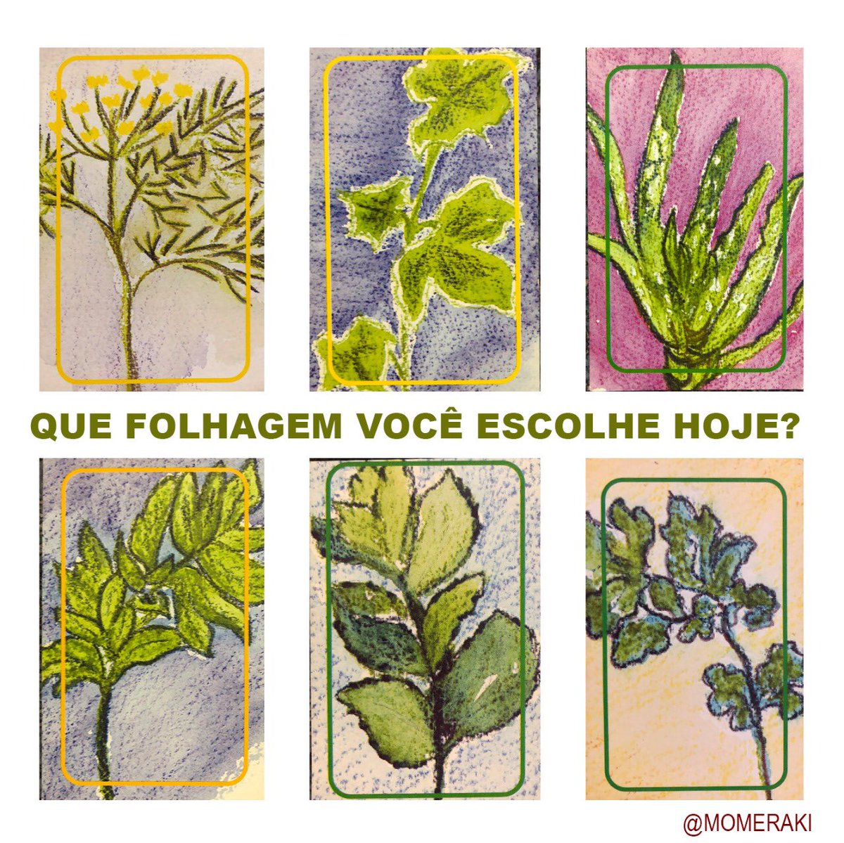 joana_bahiense's tweet photo. TIRAGEM DO DIA! resultado as 11:00! https://t.co/CYk3TriTyo