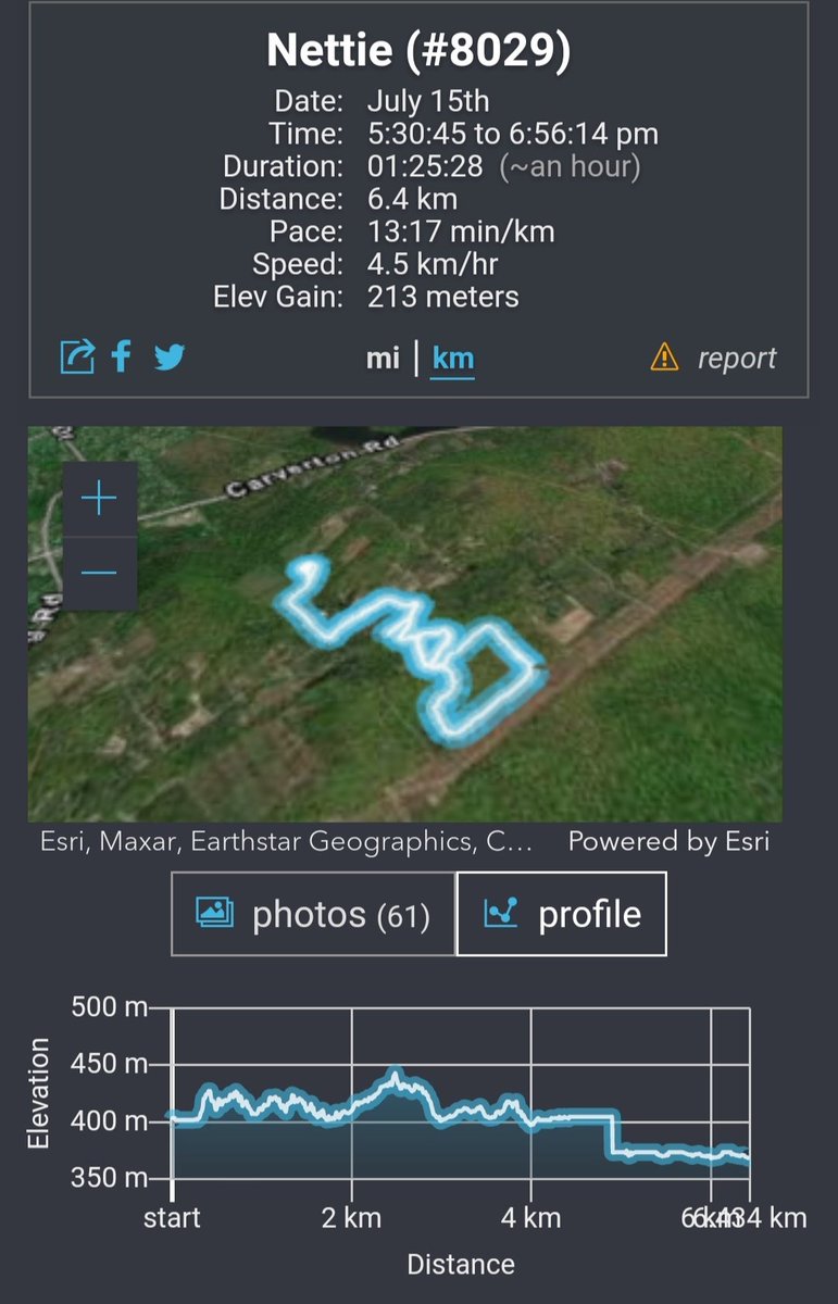 nettiequette's tweet photo. Giddy up @EsriUC 🐎 Super excited to share our #EsriUC 5K Virtual Run/Walk 2020 using #QuickCapture to map our adventures w/ my #geopartners #Globie 🌍 #Diesel 🐴 6.4 km 🤠 1:25:28 ⌚ 4.5 mph Check out our #nettiespaghetti ♡ #EsriUC2020 #iheartEsri ➡️ https://t.co/MNXpAvQtEI ⬅️ https://t.co/sTgvnxTSOG