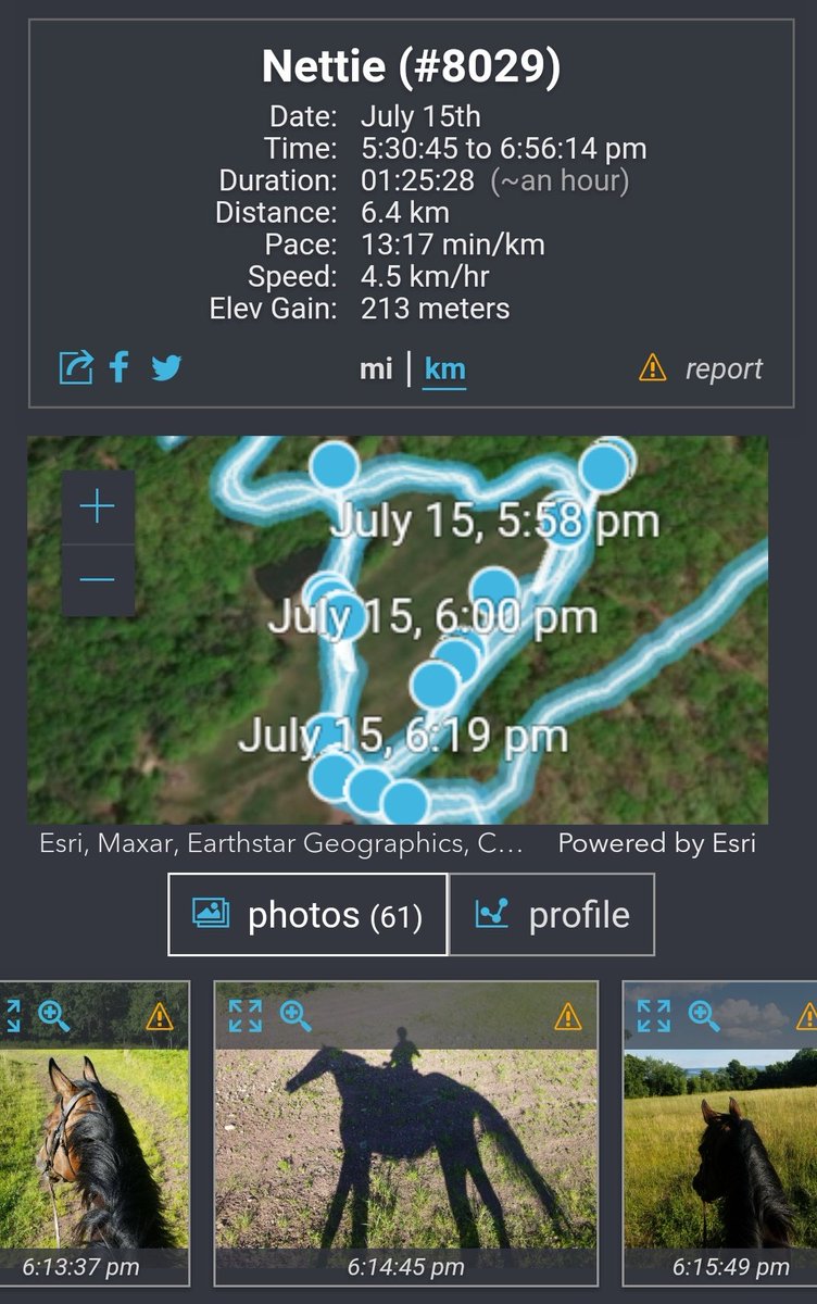 nettiequette's tweet photo. Giddy up @EsriUC 🐎 Super excited to share our #EsriUC 5K Virtual Run/Walk 2020 using #QuickCapture to map our adventures w/ my #geopartners #Globie 🌍 #Diesel 🐴 6.4 km 🤠 1:25:28 ⌚ 4.5 mph Check out our #nettiespaghetti ♡ #EsriUC2020 #iheartEsri ➡️ https://t.co/MNXpAvQtEI ⬅️ https://t.co/sTgvnxTSOG