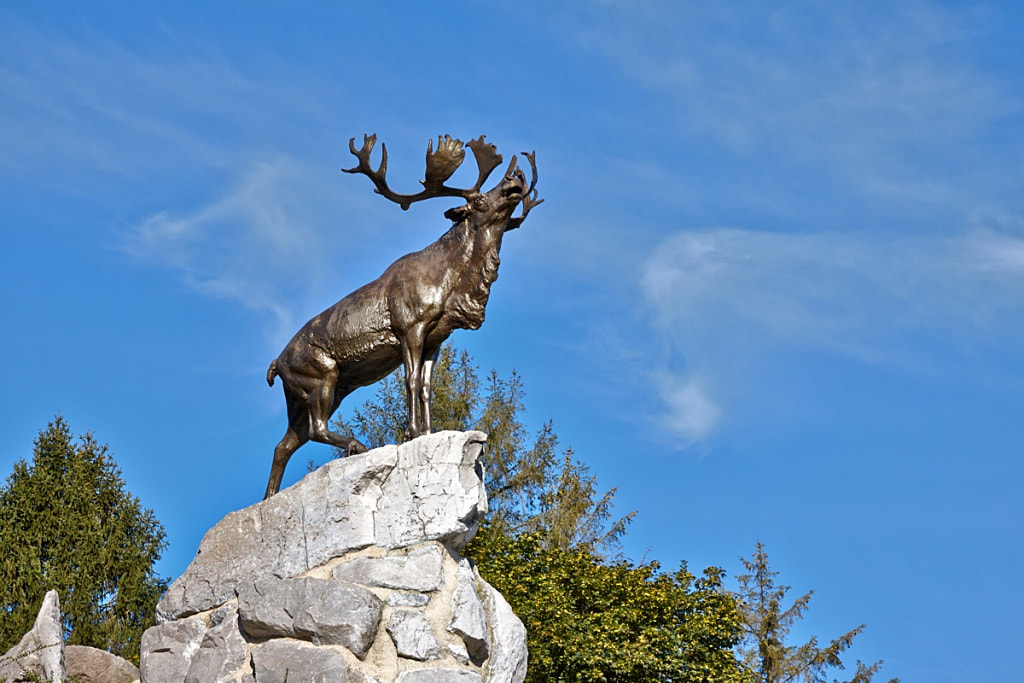 Beaumont Hamel Nov 1916BH had been attacked in July on the first day of the Somme and added to the disaster. The 1st Newfoundland regiment took a very heavy toll. Only 68 out of 800 were left the following day. The Newfoundland Caribou memorial.