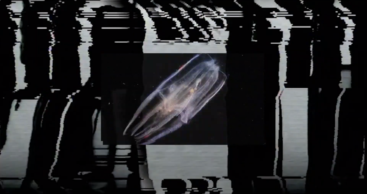 Marcus Woods is submerging himself in deep waters in ‘Ctenophora’

Watch the exclusive premiere of the Burner Records' artist new visuals ahead of his forthcoming album 'Self-Portrait'.

districtmagazine.ie/marcus-woods-i…