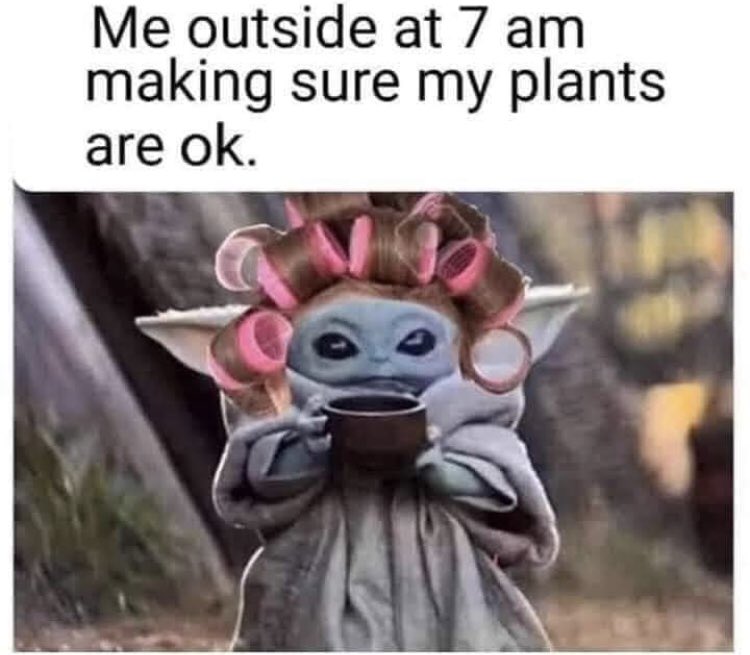 RespectfulMemes's tweet image. 