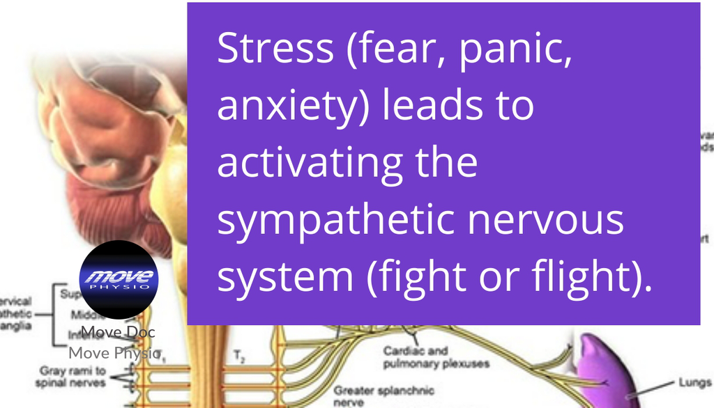 Sympathetic response to stress | Move Physio: lttr.ai/Tyo5

#covid #stressresponse #stresscycle #nerves #recovery