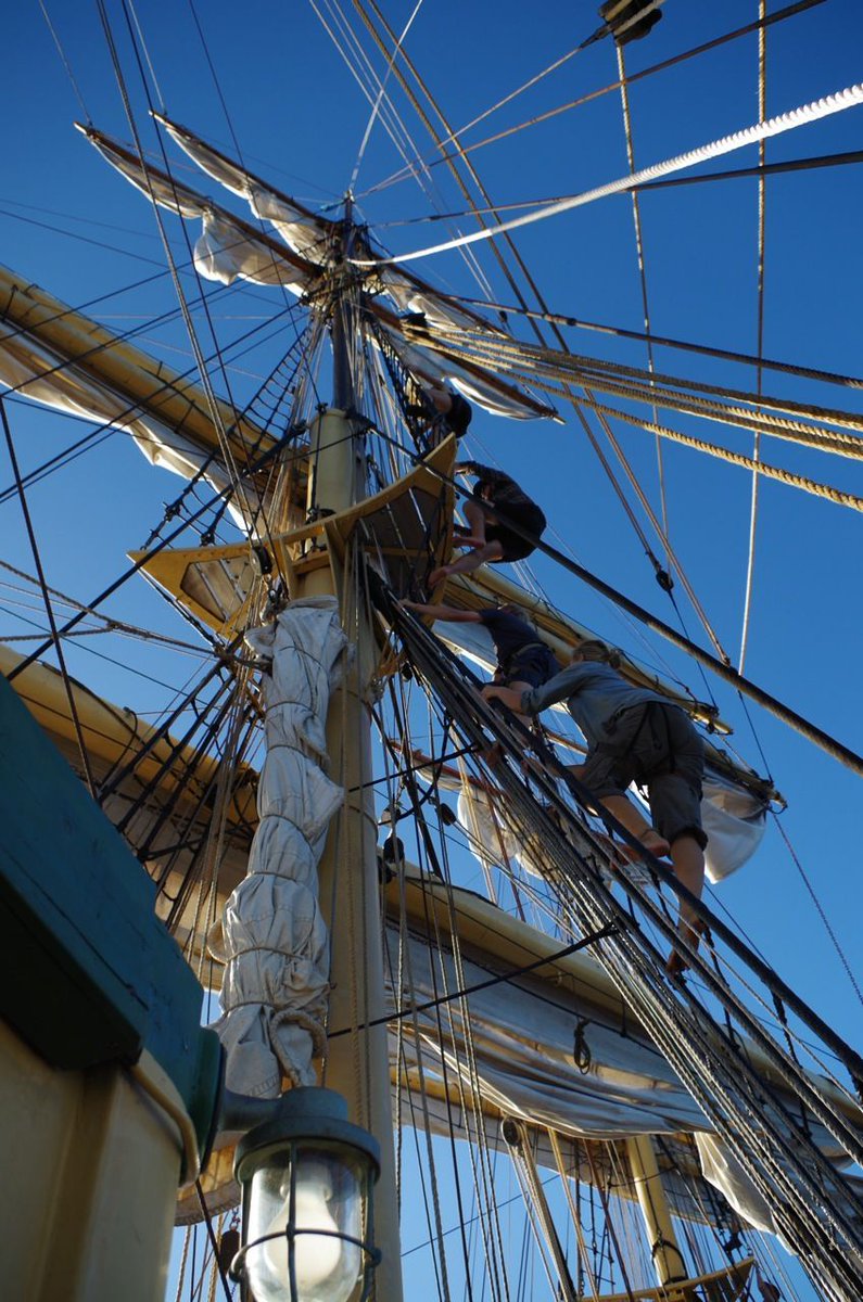 picton_castle's tweet photo. How long do you think it would take you to climb to the top of these masts? 
•
•
•
#TallShip #TallShipLife #Adventure #PictonCastle https://t.co/AVeSDTdxo6