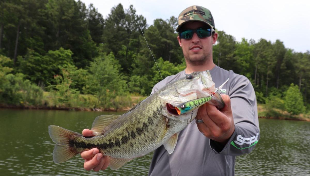 WFN's tweet photo. New from ICAST: Rattle Little John; Essential Series. A quick look at offerings from SPRO for 2020-21 via @GameAndFishMag: https://t.co/RzQOtyjmYv
#IAMSPORTSMAN #ThisIsFishing #fishing #fish #rattleseries #fishlure https://t.co/PVMj4hmZtO