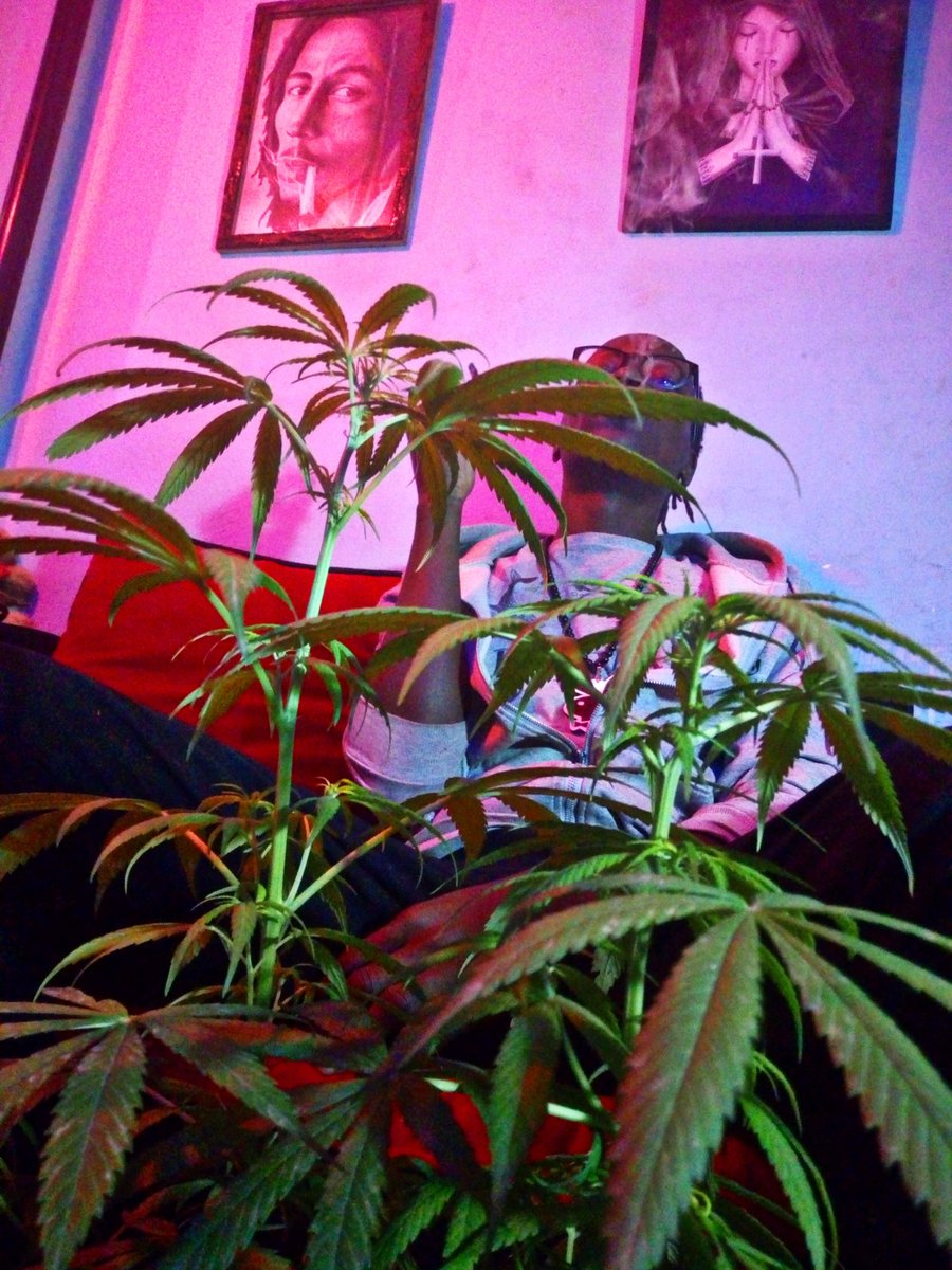 Medicate and meditate
#Mmemberville #IAmGDC