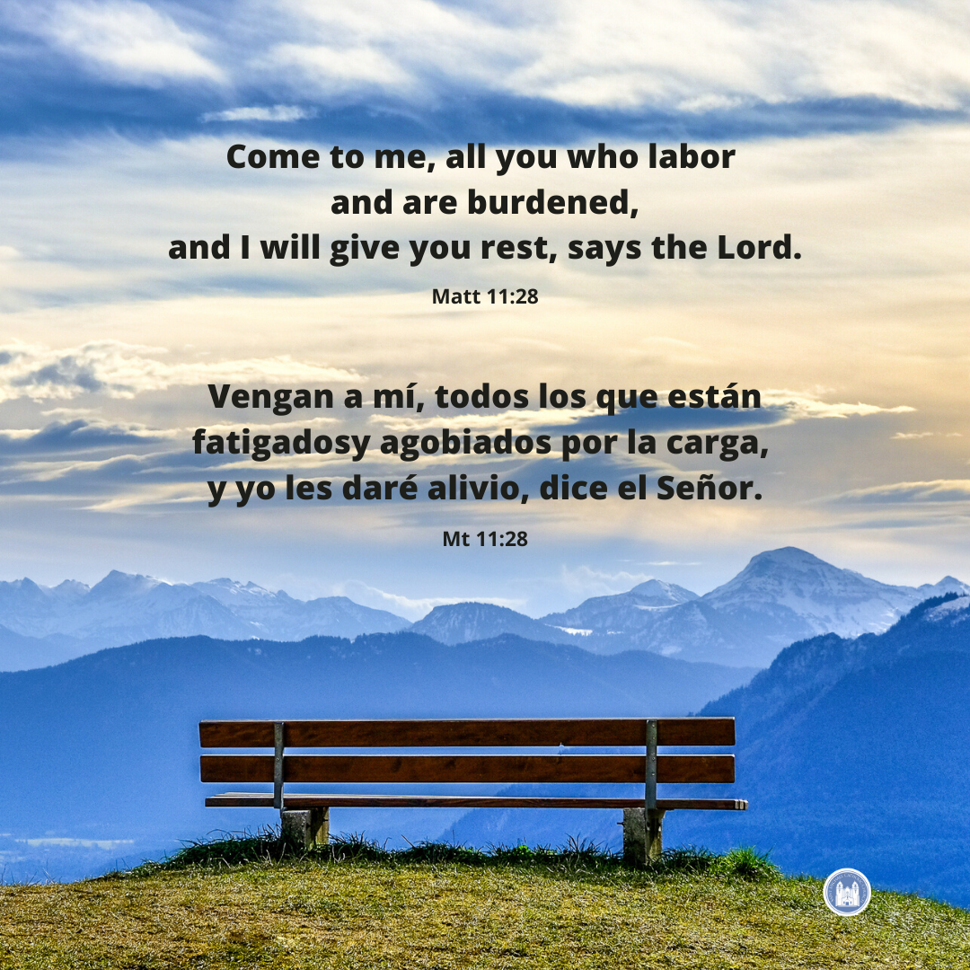 St Michael Livermore tweet media