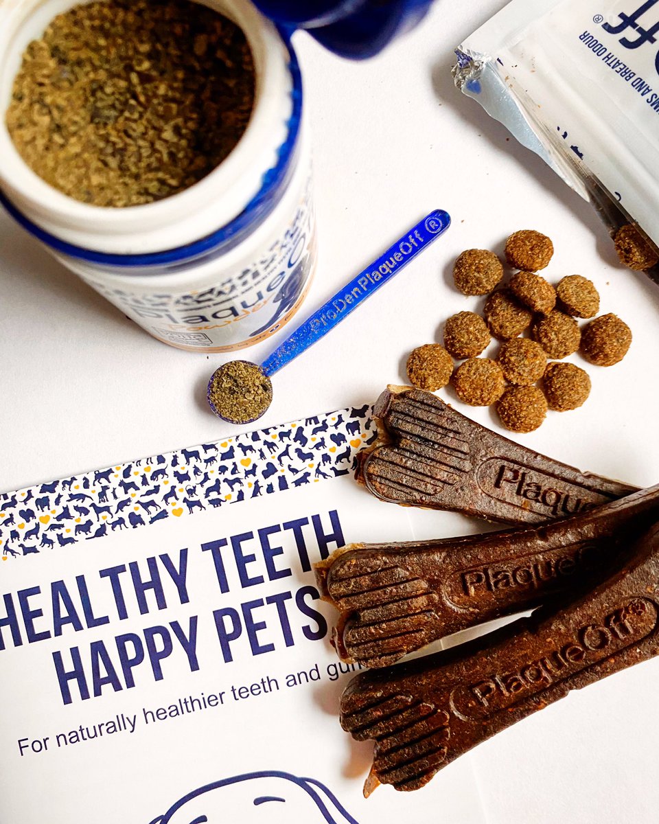 swedencareuk's tweet photo. Whether you’re looking for a supplement to add to food, treats or dental chews, we have all options for you here at ProDen PlaqueOff®
Which is your product of choice? 🦷✨
#PlaqueOff #Plaque #Tartar #BadBreath #PlaqueOffPowder #DentalBites #DentalBones https://t.co/0L5o0opuZv