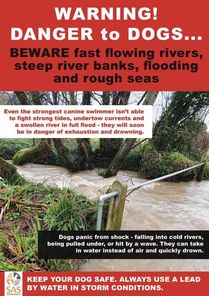 Missing Pets Gb On Twitter Reminder If You Are Taking Your Dog Near Any Type Of Water You Need To Be Extra Vigilant At All Times Be Aware Of Your Surroundings