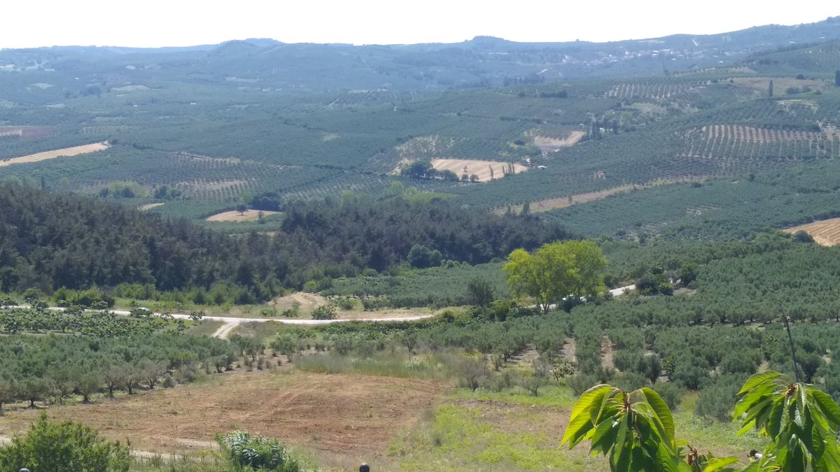 Bursa'da henüz dokunulmamış nadir yerlerden biri. 5-10 sene sonra böyle kalmayacağına emin olsam da içimde bir umut, hep yeşil.