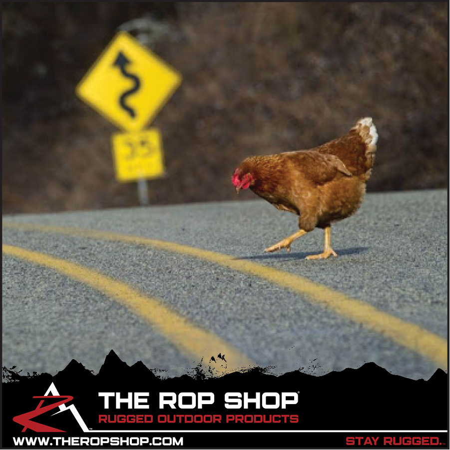 theropshop's tweet photo. 🐓 Why did the chicken cross the road?
🍗 WEED EATER 😜
🐔 AMAZON STORE: https://t.co/KKTvIbO5dR
Visit The ROP Shop's stores for our selection of weed eater parts & accessories.
#stringtrimmer #weedeater #whippersnipper #weedwaker #weedwhip #linetrimmer #brushcutter #strimmer https://t.co/d1xCJkZYq4